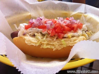 The Mazzi Dog