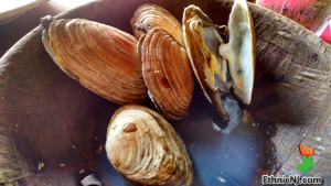 Steamers @ Barnacle Bill's - Rumson, NJ